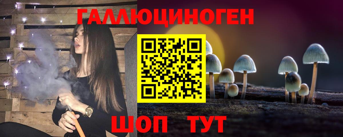 Хасавюрт  цены наркотик  Вход с VPN  Псилоцибиновые грибы Magic Shrooms  Псилоцибиновые грибы мицелий 