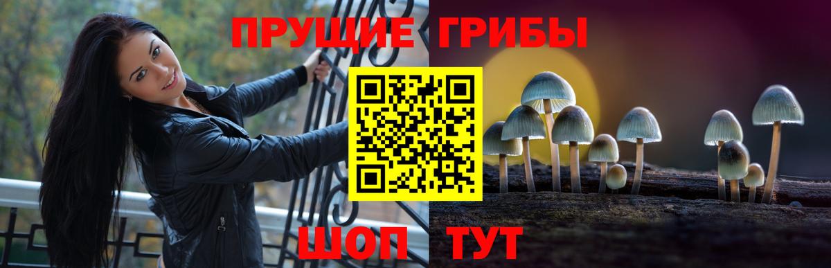 Галлюциногенные грибы прущие грибы Хасавюрт